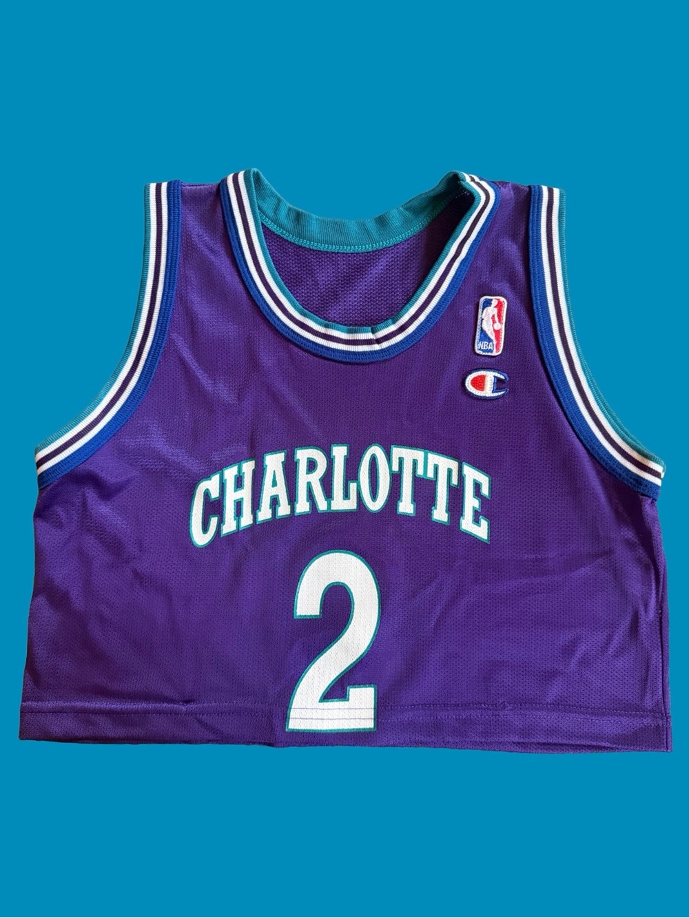 NBA Charlotte Hornets Larry Johnson Vintage Cropped Purple Mesh Athletic Jersey